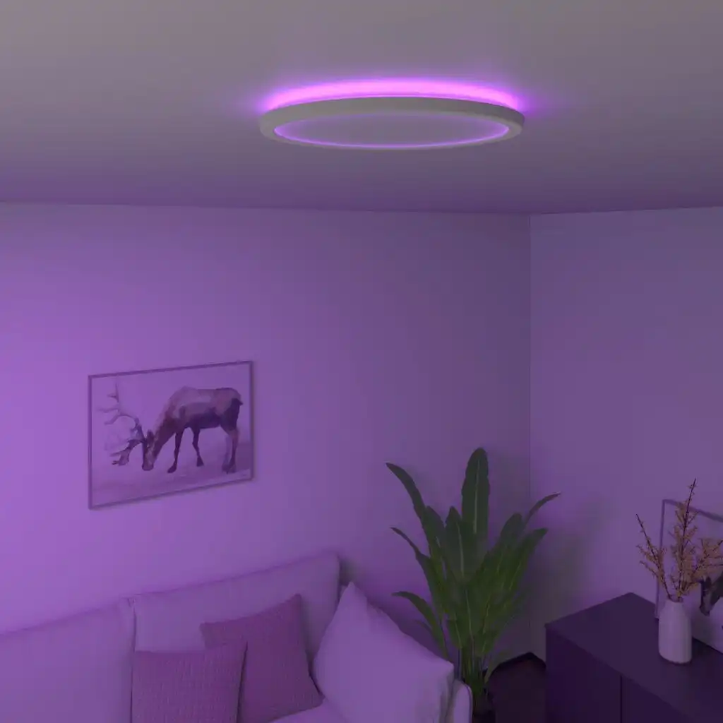 Smart LED Ceiling Light
